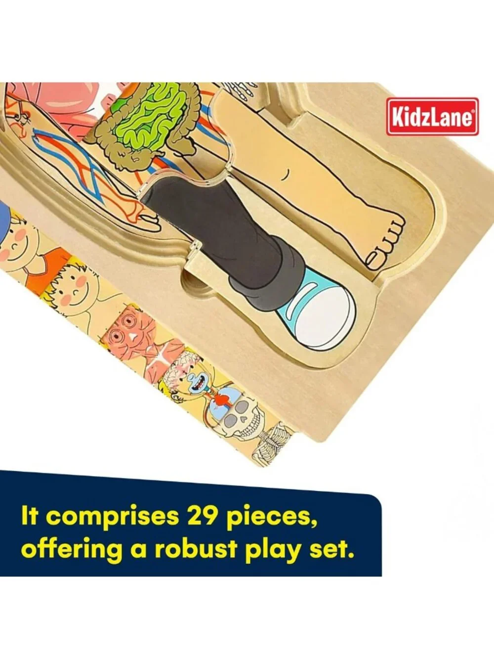 29-Piece Wooden Anatomy Puzzle for Toddlers - Educational Skeleton Toy for Kids